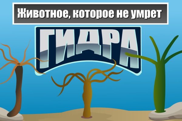 Kraken зеркало kraken link top