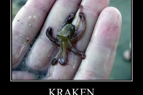 Кракен ссылка kraken dark link