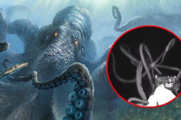 Kraken домен